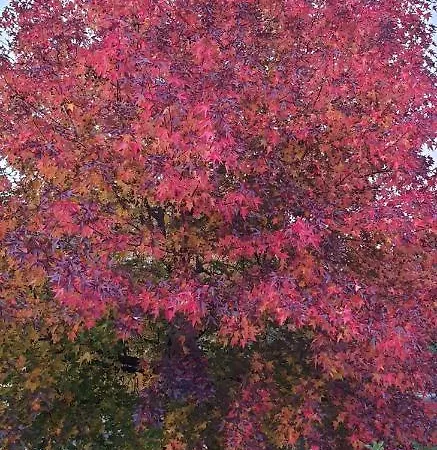 Appartamento Ground Floor Lakeside Winter Escape Garden & Comfort On