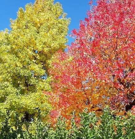 Ground Floor Lakeside Winter Escape Garden & Comfort On Appartamento Colico