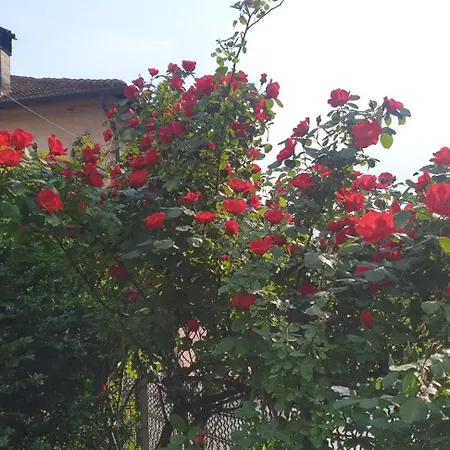 Ground Floor- Pet Friendly Stay-private Garden-parking-lake View - Bike Friendly House Apartment Colico
