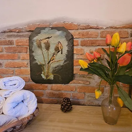 Daire Ground Floor- Pet Friendly Stay-private Garden-parking-lake View - Bike Friendly House Colico