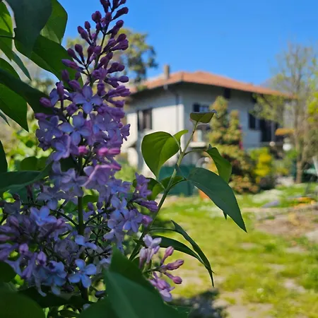 Ground Floor- Pet Friendly Stay-private Garden-parking-lake View - Bike Friendly House Daire